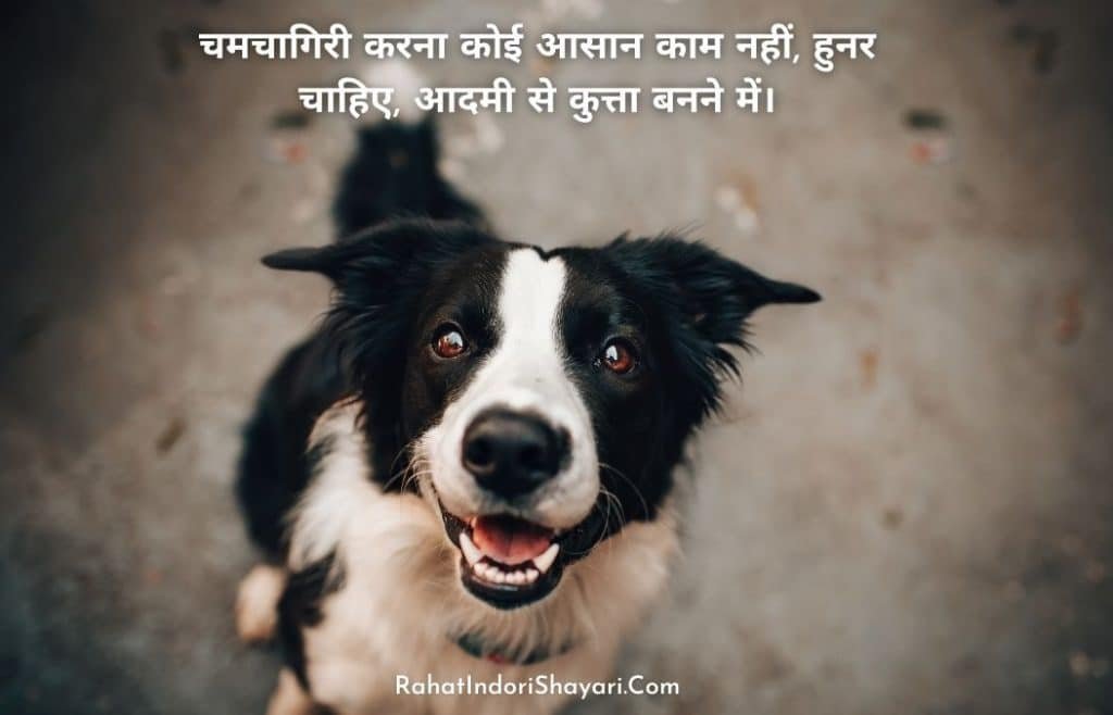 taunt shayari in hindi